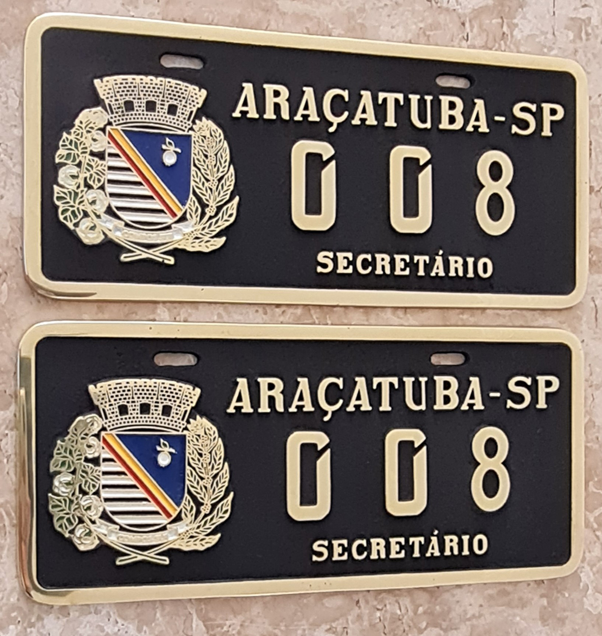 Placa de Carro em Bronze Fundido